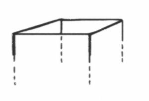 Caranex Instructions